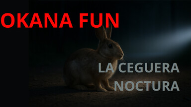 Okana Fun: La Ceguera Nocturna.